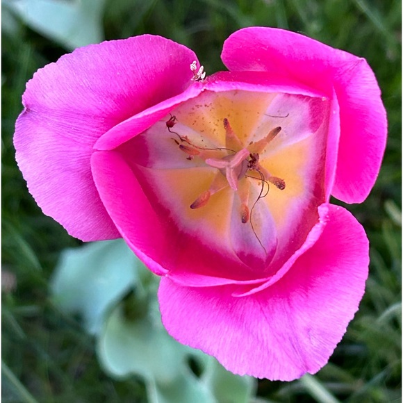 Meet your Posher - Picture 7 of 9